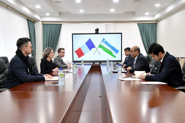 Deputy FM meets with the Ambassador of France