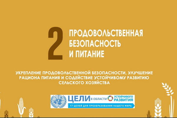 Госкомстат совершенствует методологию по индикаторам ЦУР