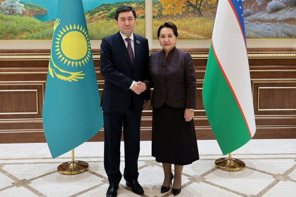Chairperson of the Senate holds talks with chairman of the Mazhilis of the Parliament of Kazakhatan