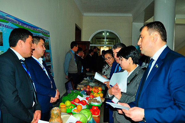 Выявлены лучшие молодые фермеры