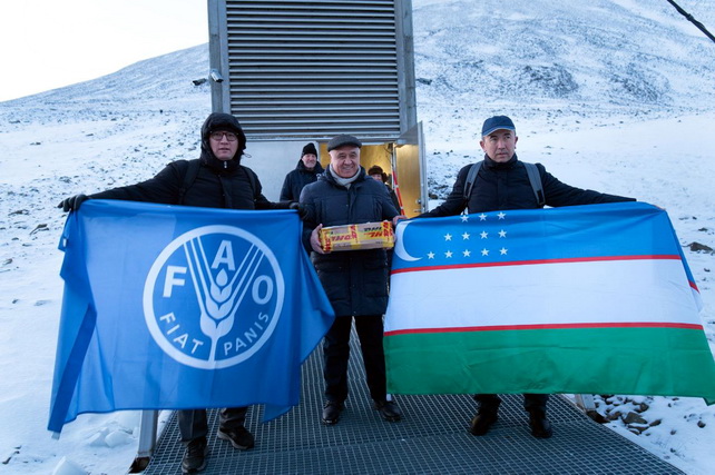 Семена Узбекистана пополнили Всемирное хранилище семян в Свальбарде Семена Узбекистана пополнили Всемирное хранилище семян в Свальбарде
