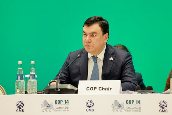 Глобальная конференция ООН завершилась принятием крупного комплекса мер по сохранению мигрирующих видов диких животных