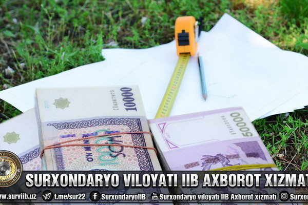 В Джаркургане предотвращена незаконная продажа земли на 500 млн сумов