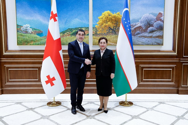Tanzila Narbaeva meets with the Georgian delegation