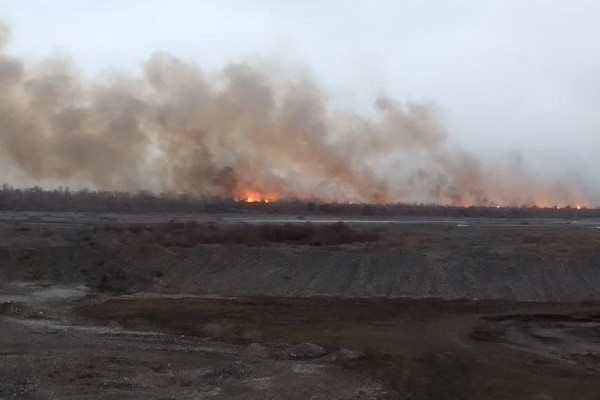 В Зарафшанском национальном природном парке произошел пожар