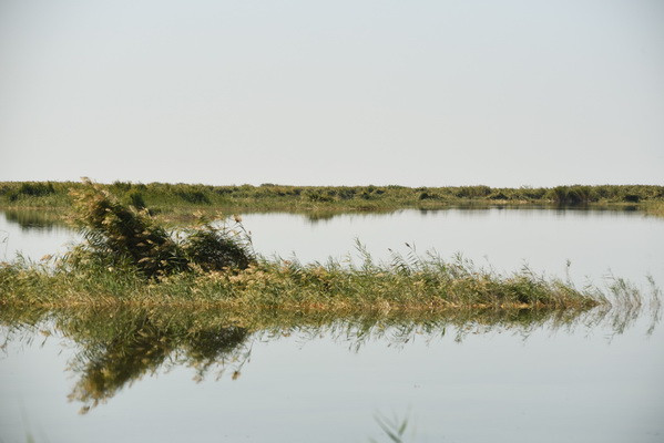 Пятый объект природного наследия включили в список водно-болотных угодий международного значения