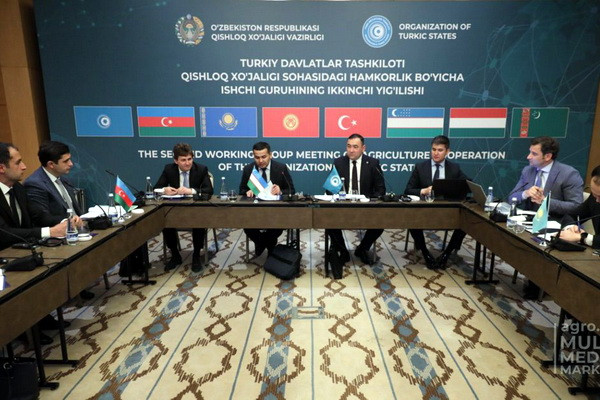 The 2nd meeting of the Working Group on cooperation in the field of agriculture of the member states of the Organization of Turkic States was held