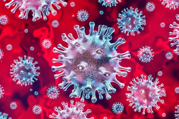 Bloomberg: there is a possibility of a new deadly pandemic in the world within 10 years
