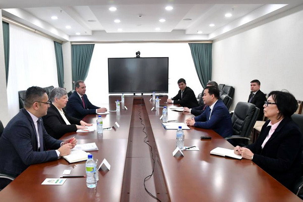 Deputy Foreign Minister meets with the OSCE/ODIHR delegation