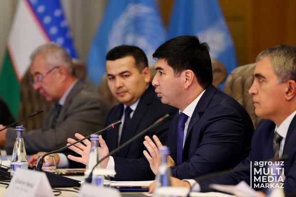 Узбекистан и IFAD обсудили новую страновую стратегию