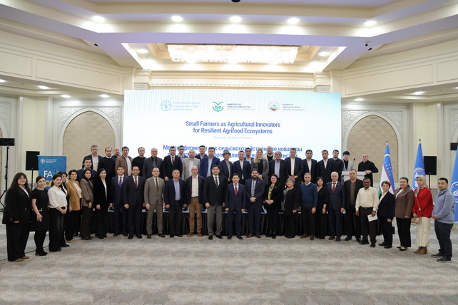 FAO and Uzbekistan Review Results of a Regional Project Supporting Smallholder Farmers