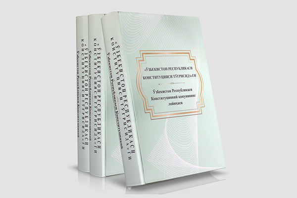 Draft constitutional law published in Braille