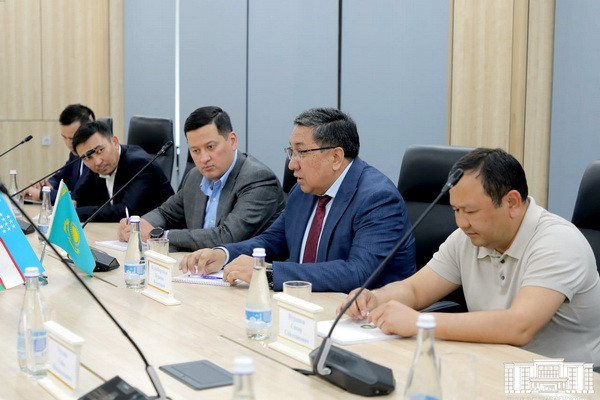 Tashkent and Almaty to establish twinning ties
