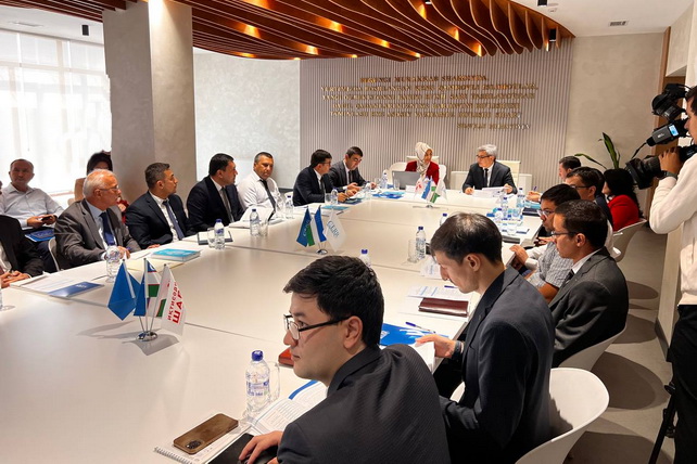 Economic Cooperation in the Turkic Space: A View from Uzbekistan