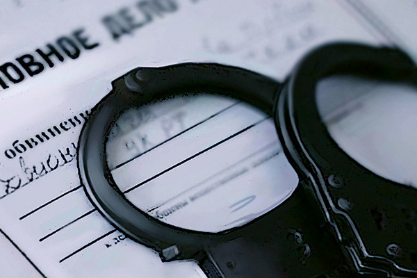Criminal case initiated against Alliance Motors car dealership