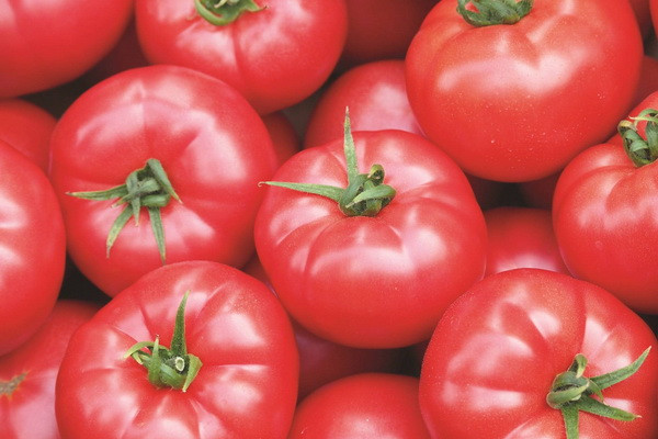 EastFruit: Tomato prices in Uzbekistan set new records
