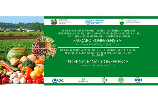 Обсуждены проблемы и решения, связанные с экспортом сельхозпродукции