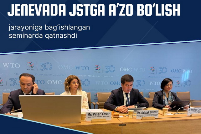 Uzbekistan Discusses Privatization and Private Sector Development with WTO