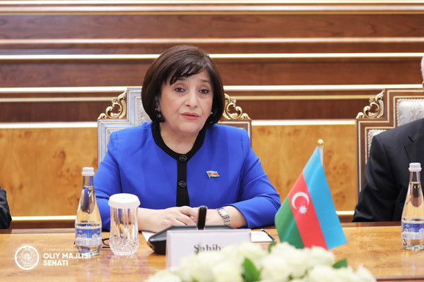 Meeting of the Chairman of the Senate Tanzila Narbayeva with the Chairman of the Milli Majlis of Azerbaijan Sahiba Gafarova