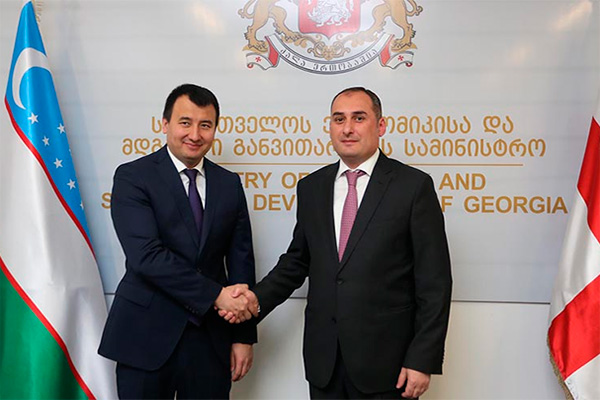 Uzbekistan, Georgia discuss bilateral trade-economic ties