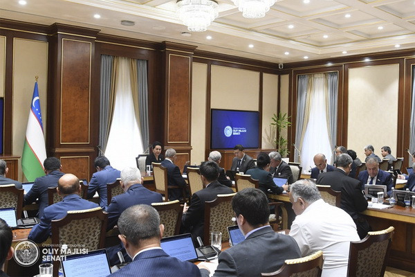 The next plenary session of the Senate to be held on 8 July