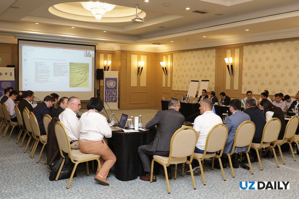 UNDP holds a seminar on green finance for representatives of the banking sector of Uzbekistan