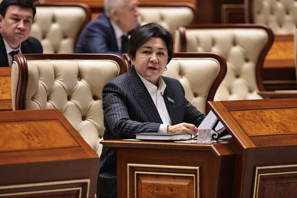 The law provides new opportunities for women entrepreneurs