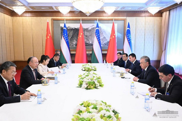 Uzbek President, head of CITIC discuss joint projects