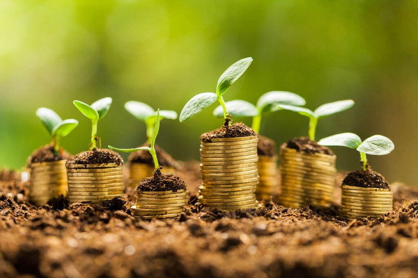 It is proposed to temporarily not levy a threefold tax from individuals for the use of land plots without documents