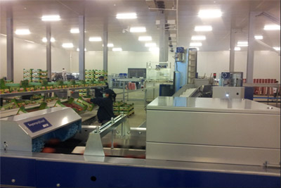 Modern logistics center opens in Uzbek capital