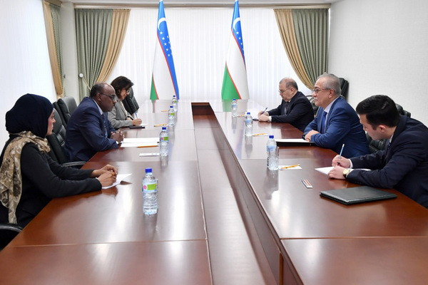 MFA of Uzbekistan hosted a meeting with the OIC Special Representative for Afghanistan