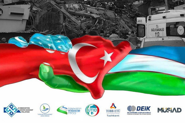 Regular humanitarian air "corridor" to Turkey organized