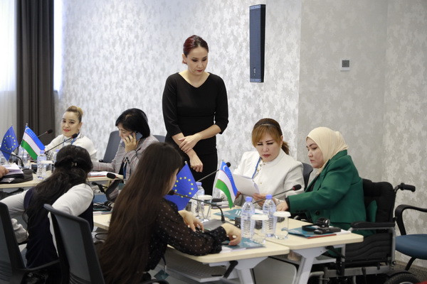 International standards on the rights of persons with disabilities are being studied