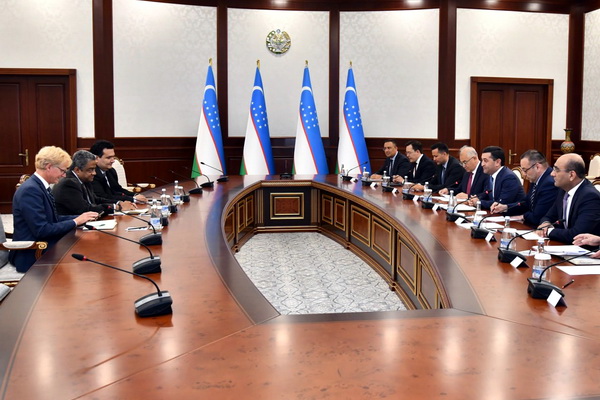Uzbek FM holds meeting with UN Special Rapporteur on the right to adequate housing
