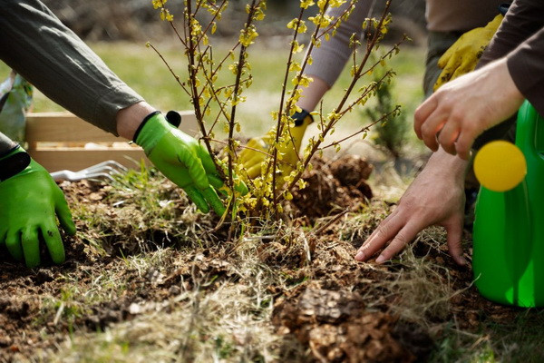 The rights and responsibilities of public environmental supervision were approved