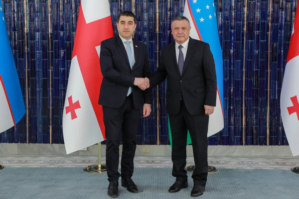 Speaker of the Legislative Chamber meets with the Georgian delegation