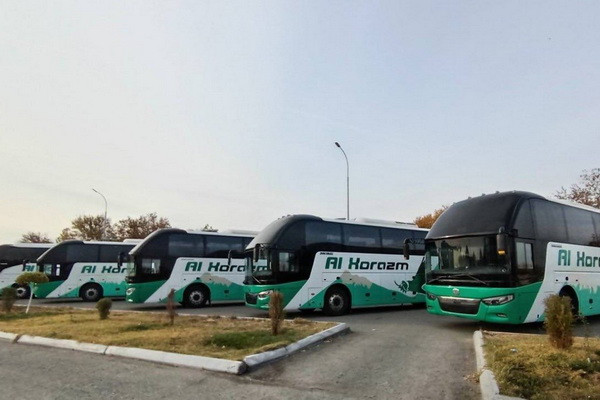 Khorezm entrepreneurs purchased 100 minibuses this year