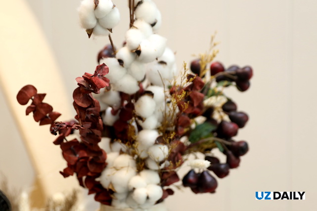 Пахта етиштиришда интенсив агротехнологиялар кенг жорий этилади