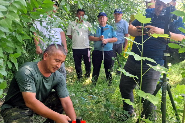 ФАО способствует развитию современных знаний и навыков в области сохранения лесов Узбекистана
