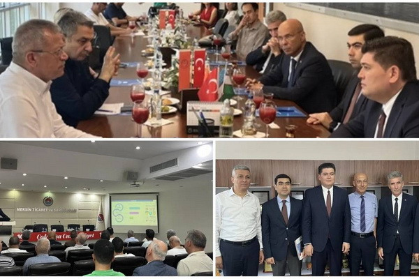 Trade and investment cooperation with Turkish provinces to be expanded