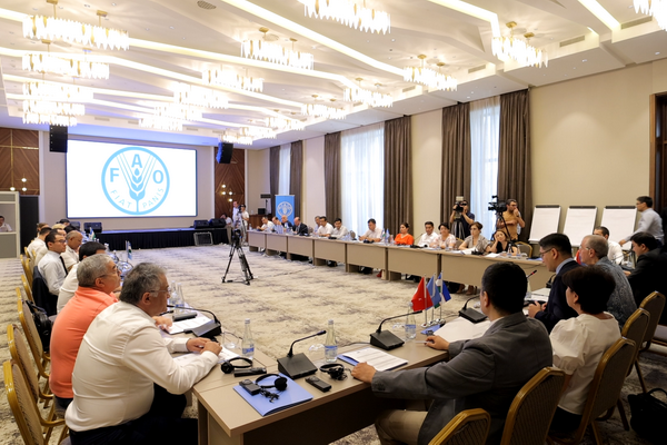 FAO is going to reduce food losses in Uzbekistan