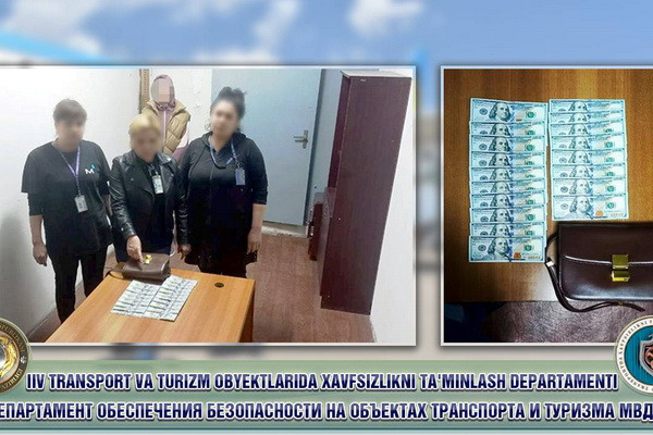 Уборщица самолета нашла и присвоила забытую сумку с деньгами