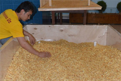 В Узбекистане приготовили чак-чак весом 307 кг