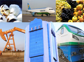 Uzbekistan adopts programme on developing industry in 2011-2015