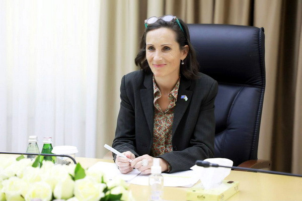 Deputy Prime Minister meets with the new head of the EU Delegation