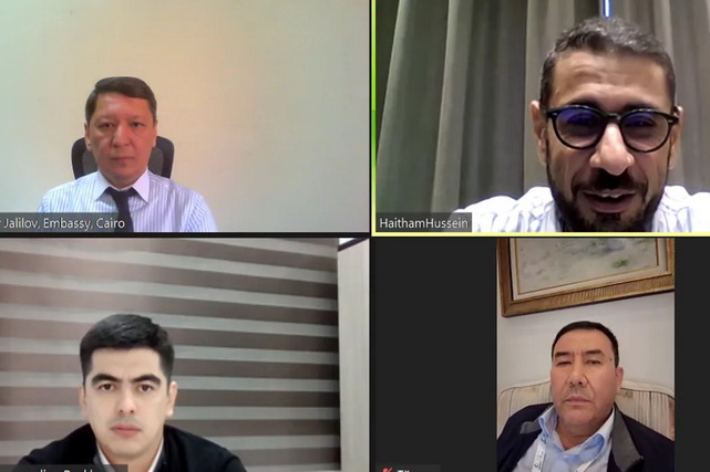 Египетский инвестор заинтересовался энергетическими проектами в Бухарской области