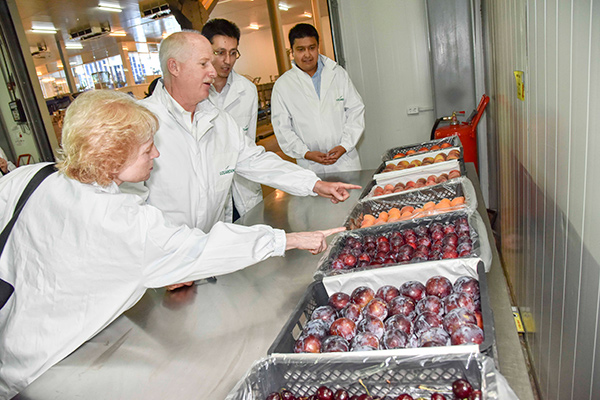 США помогают плодоовощной компании Узбекистана расширить бизнес