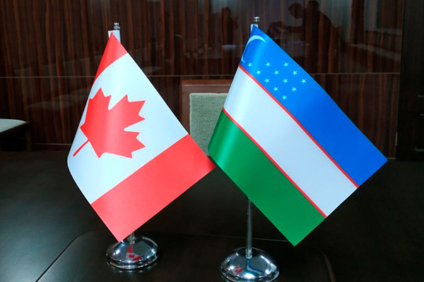 B2Gold изучит три перспективные площади в Навоийской области