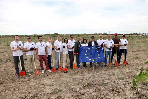 European Union to plant 27 thousand trees in Aral Sea basin