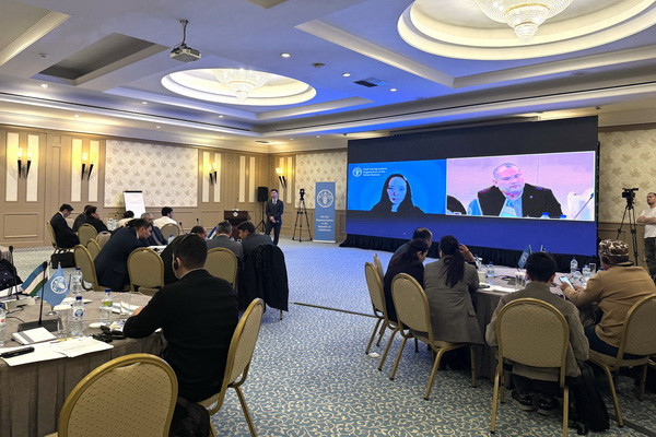 FAO presents the National Programme of Action for the Digitalization of Agriculture in Uzbekistan